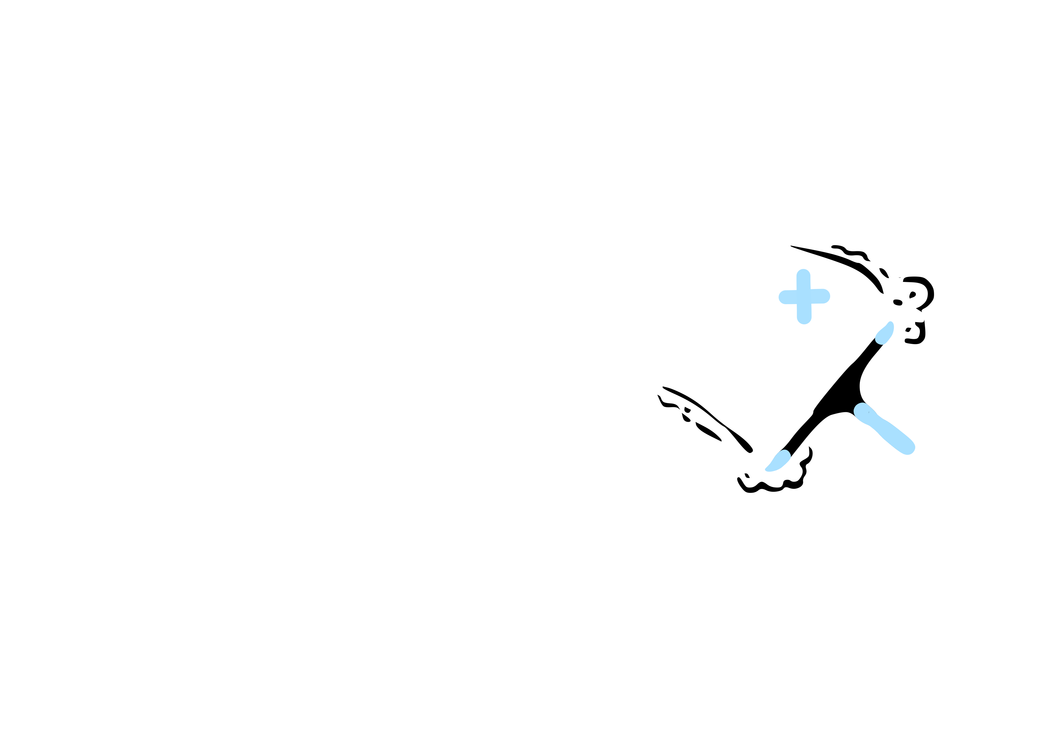Clear Vision Window Cleaning Logo